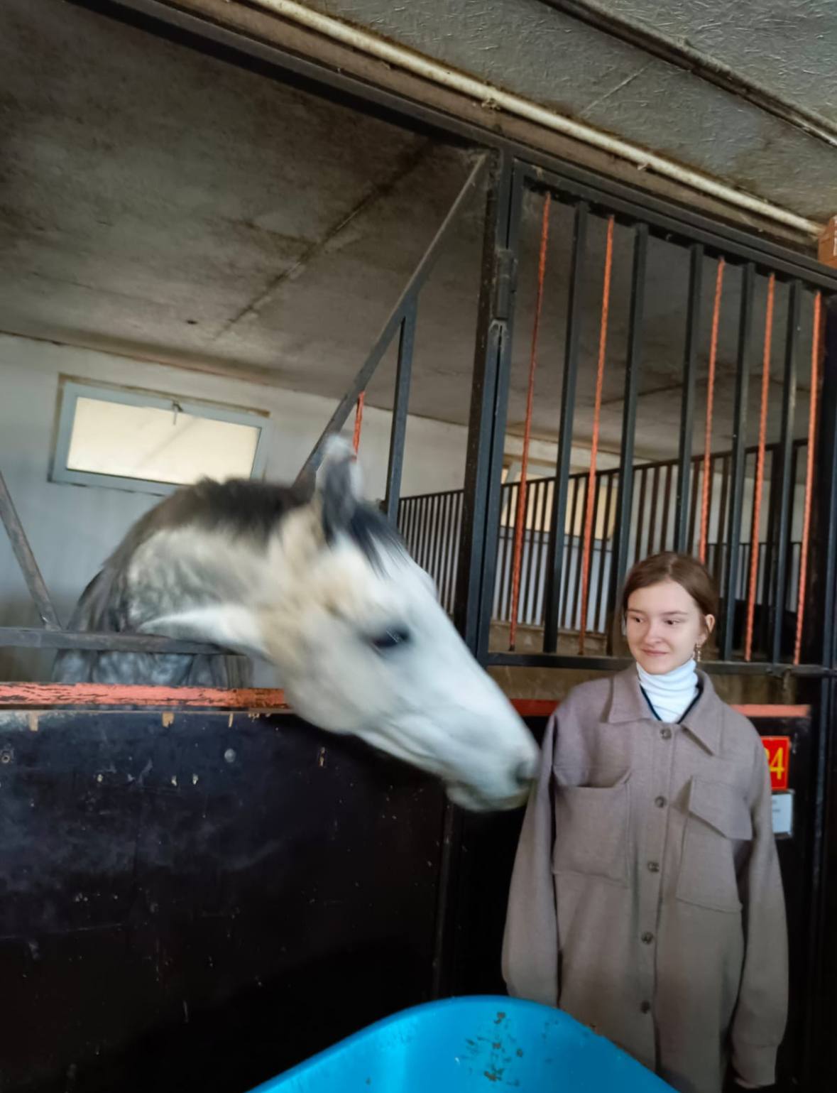 Сложные задачи и новогоднее чудо: в конной школе дети с особенностями развития нашли любовь и мечту своей жизни Сложные задачи и новогоднее чудо: в конной школе дети с особенностями развития нашли любовь и мечту своей жизни