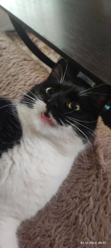 � ������ �� 6 �������. � ������������� ���� ������� � ������������