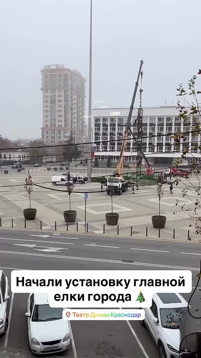 Праздник все ближе. В Краснодаре начали установку главной городской елки