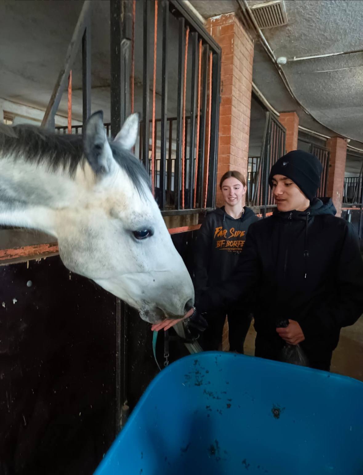 Сложные задачи и новогоднее чудо: в конной школе дети с особенностями развития нашли любовь и мечту своей жизни Сложные задачи и новогоднее чудо: в конной школе дети с особенностями развития нашли любовь и мечту своей жизни
