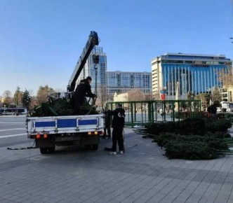 В Краснодаре устанавливают елку на Главной городской площади