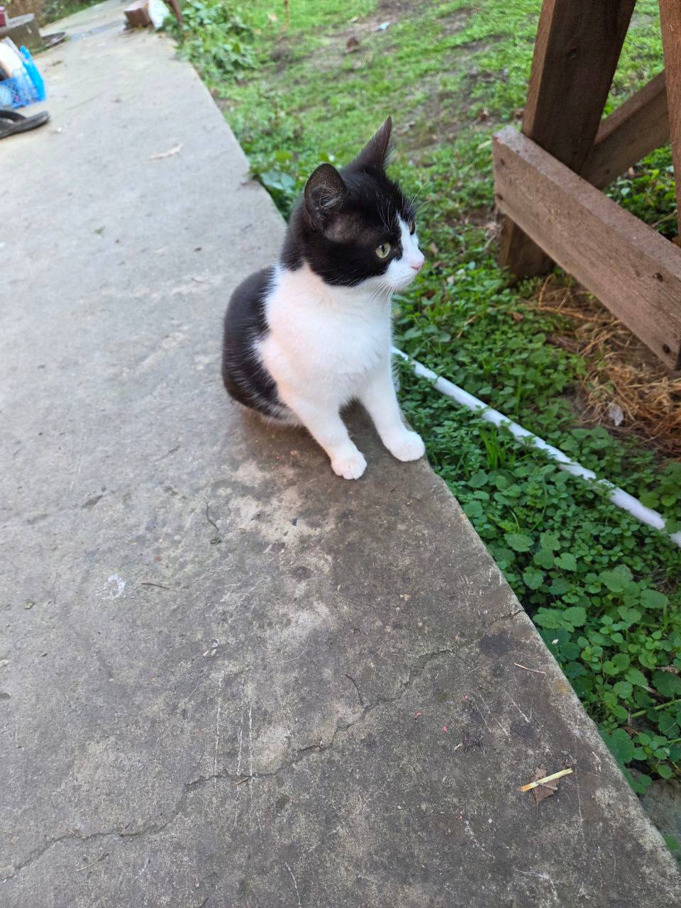 О погоде на 6 декабря. В Краснодарском крае облачно с прояснениями О погоде на 6 декабря. В Краснодарском крае облачно с прояснениями