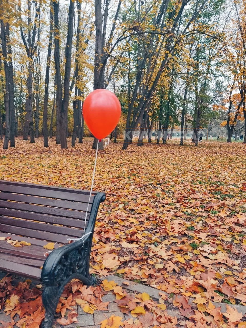 Голосуем за лучший «Краснокадр» Голосуем за лучший «Краснокадр»