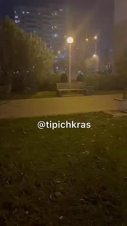 В Краснодаре отважные жительницы Московского мкр поймали на аллее парочку, которая срезала еловые ветки, и заставила давать объяснения