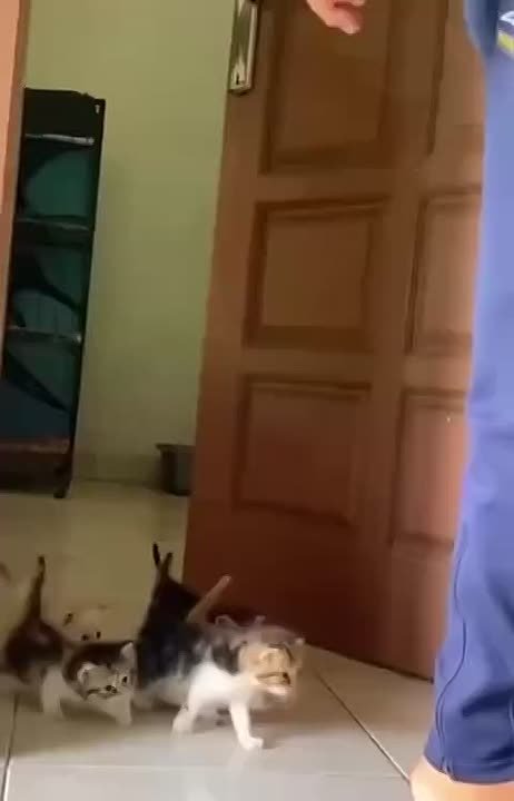 Проснулись? Тогда идём завтракать