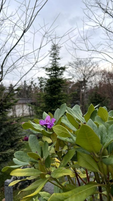 ����������� ������ � �������� ����