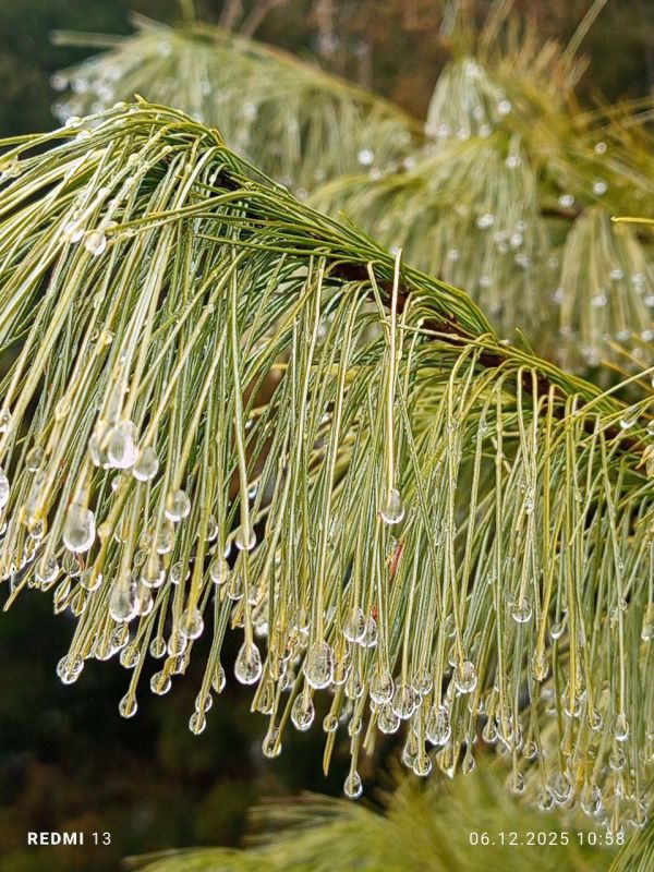 � ������ �� 8 �������. � ������������� ���� ������� � ������������