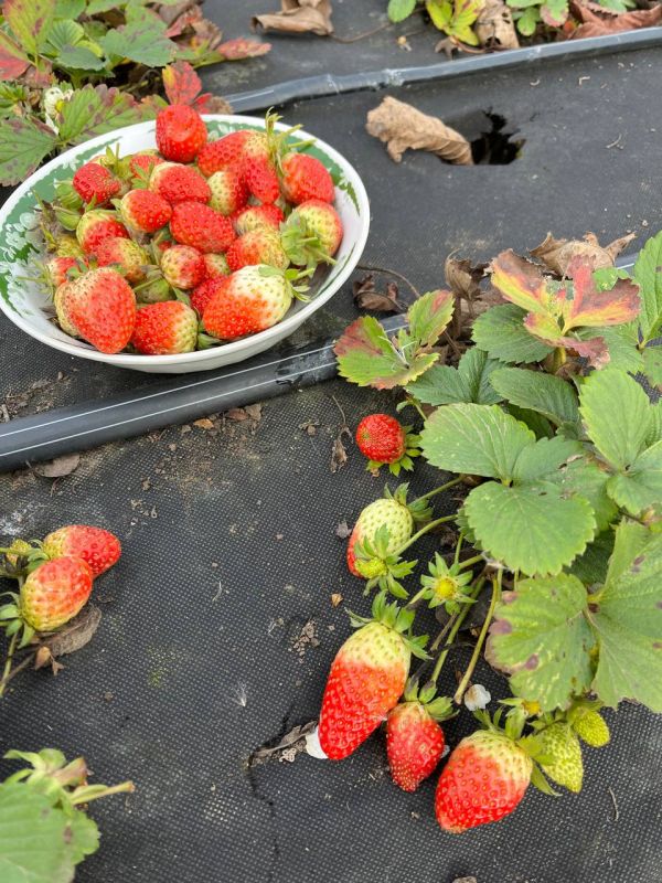 ������ �������� ������� � �����