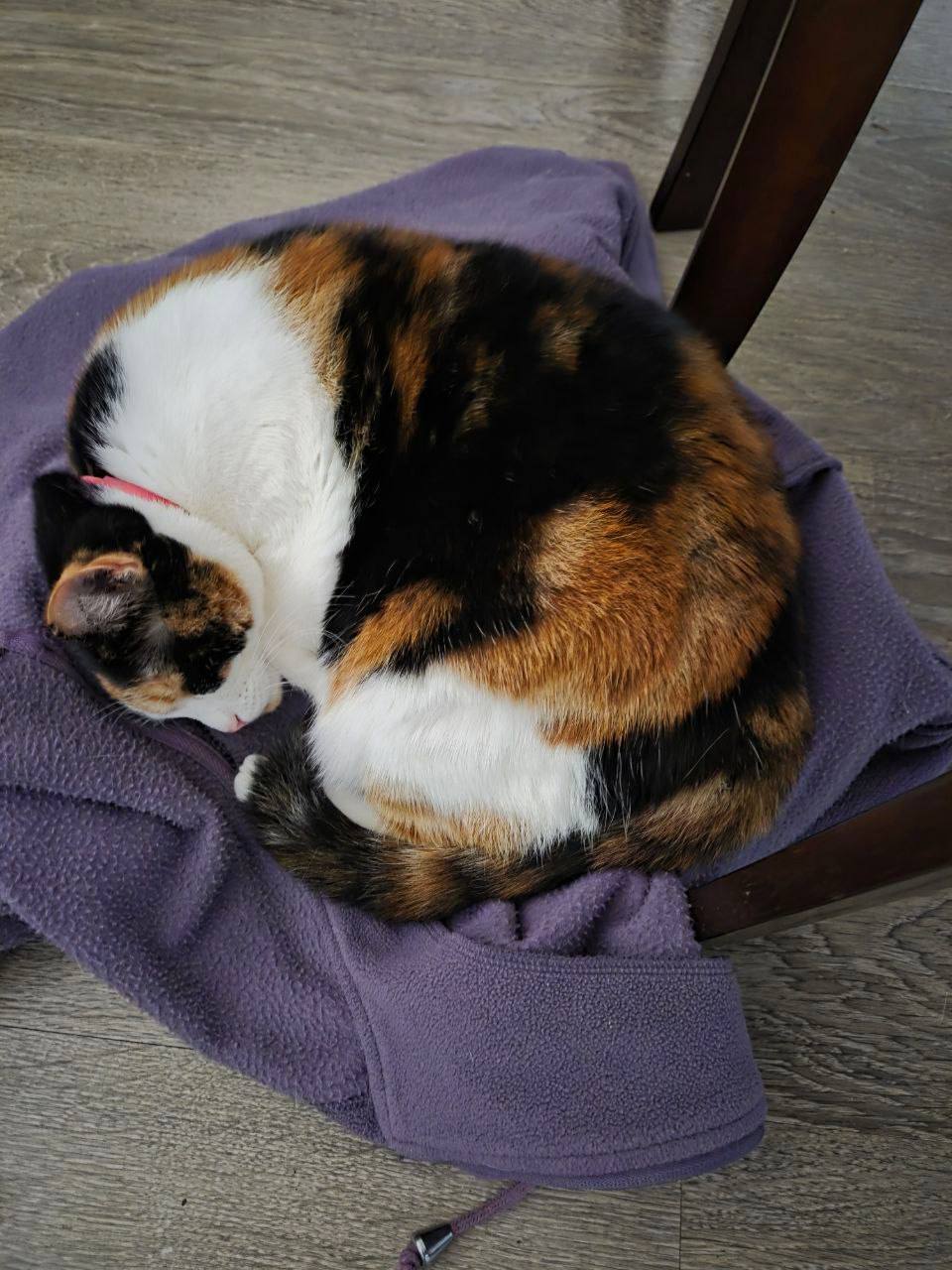 О погоде на 8 декабря. В Краснодарском крае облачно с прояснениями О погоде на 8 декабря. В Краснодарском крае облачно с прояснениями