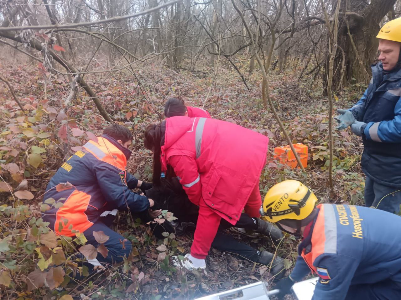 Дерево упало на мужчину и чуть не убило его Дерево упало на мужчину и чуть не убило его