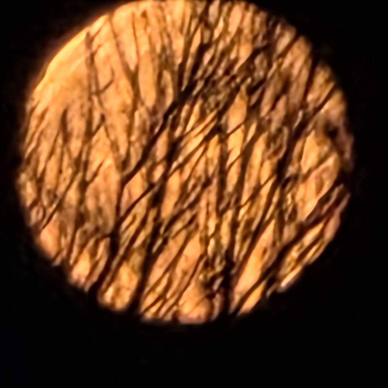 О погоде на 8 декабря. В Краснодарском крае облачно с прояснениями О погоде на 8 декабря. В Краснодарском крае облачно с прояснениями