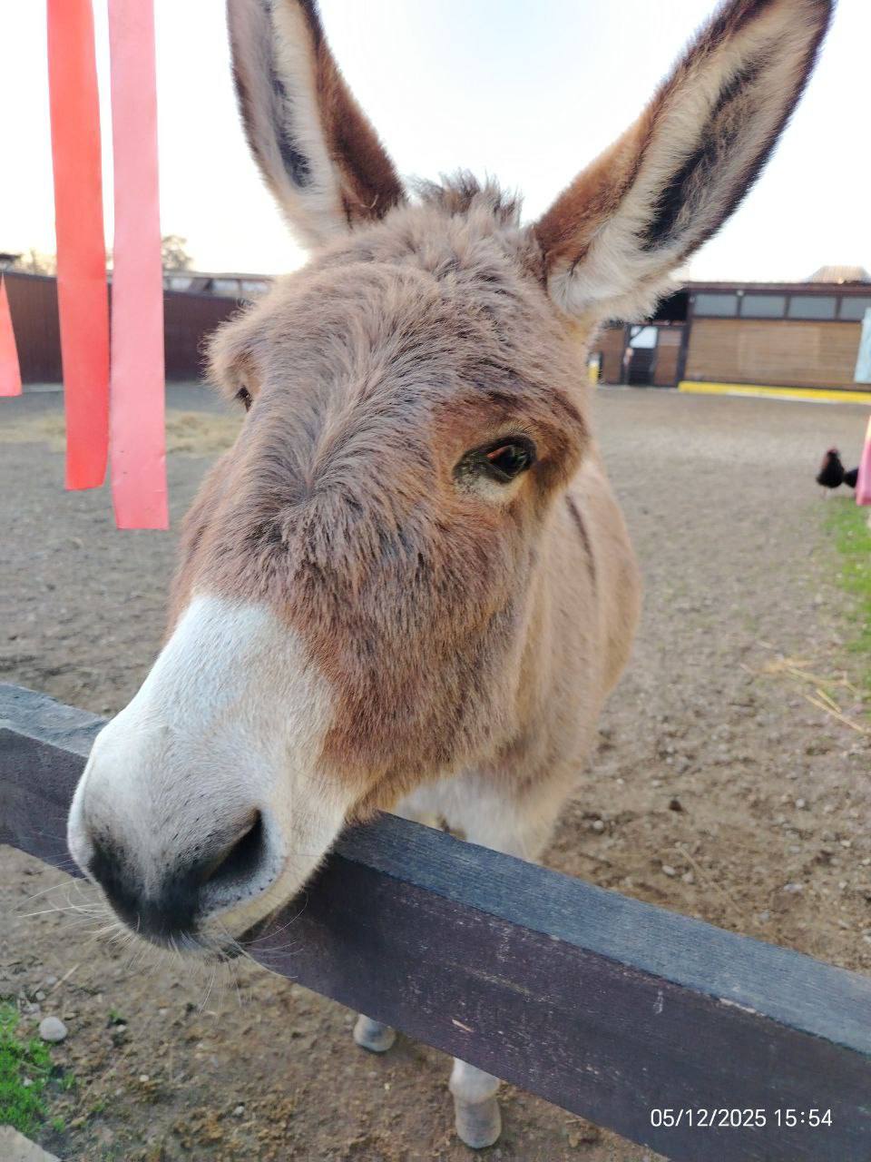 О погоде на 8 декабря. В Краснодарском крае облачно с прояснениями О погоде на 8 декабря. В Краснодарском крае облачно с прояснениями