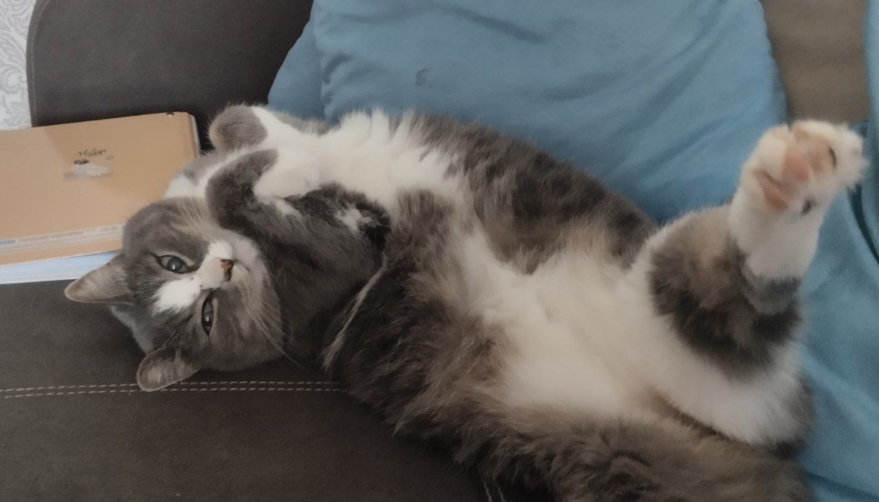 Доброе утро, Кубань!. Краснодар +6 °С Доброе утро, Кубань!. Краснодар +6 °С