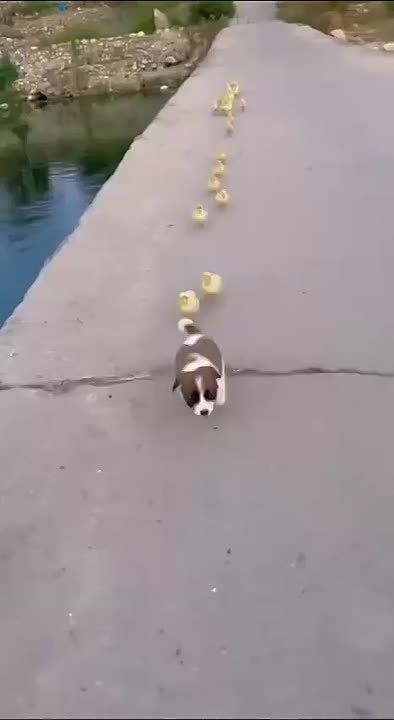 ���������� ����� ������ �� ������!