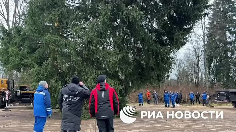 ������� ���������� ���� ������ ������� � �����������