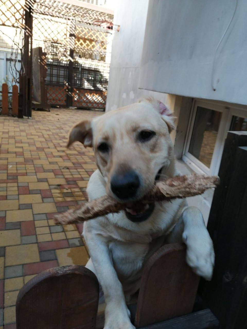 О погоде на 8 декабря. В Краснодарском крае облачно с прояснениями О погоде на 8 декабря. В Краснодарском крае облачно с прояснениями