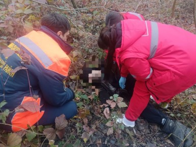Дерево упало на мужчину и чуть не убило его