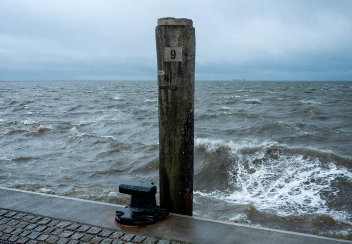 �� ������ ������������ �������, 8 �������, ��� � ��������, �� ������������ ��������� �������������� ���� ���������� ������ ������������� �� ��� ������������, ������������� "����� ������"