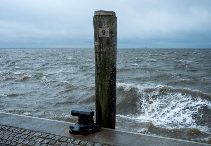 По данным Росгидромета сегодня, 8 декабря, как и накануне, на Черноморском побережье Краснодарского края существует угроза возникновения ЧС или происшествий, предупреждает "Живая Кубань"