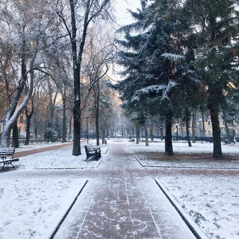 � ���������� ����� ����� ������� ������ ����?