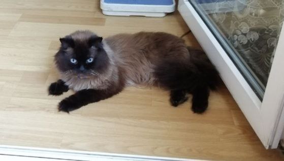 Доброе утро, Кубань!. Краснодар +6 °С Доброе утро, Кубань!. Краснодар +6 °С