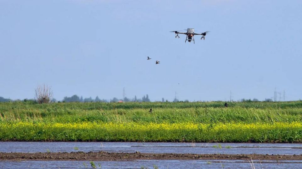 �� ������ �� ��� ����������� ���������� �������������� ����, �� ��������� ����� �������� �����������