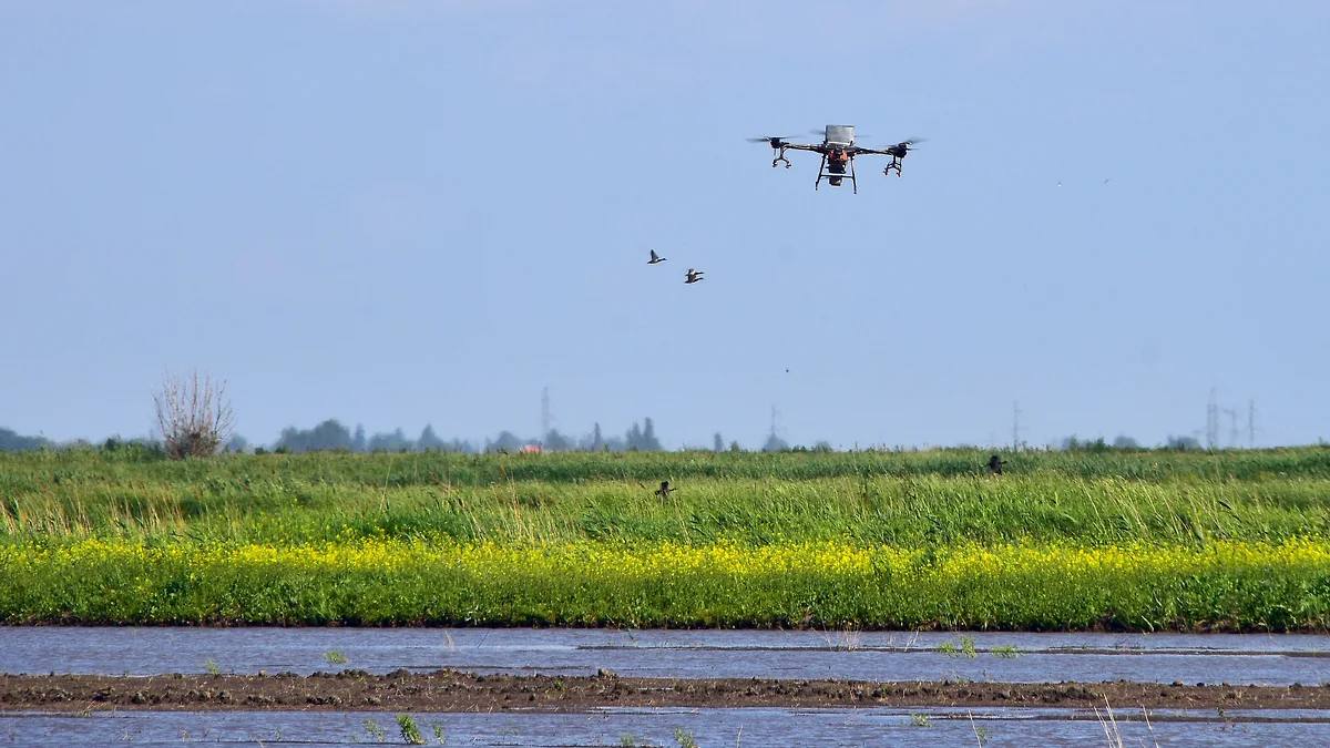 На Кубани за год увеличилось количество производителей БПЛА, но потенциал рынка остается нераскрытым