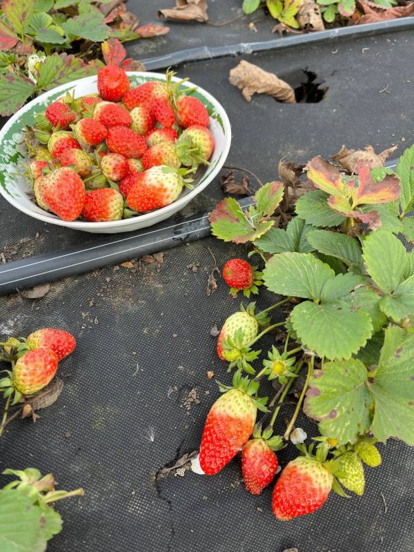 �������� ������� � ������� � �����