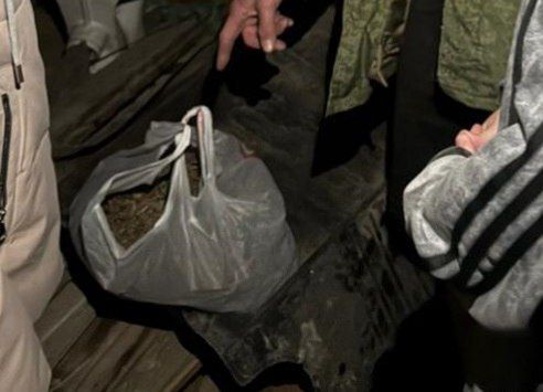 За сбор и хранение конопли житель Гулькевичей ответит в суде