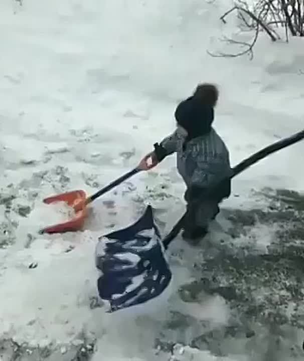 ��� ������ �������, � ���� ��� �� ������