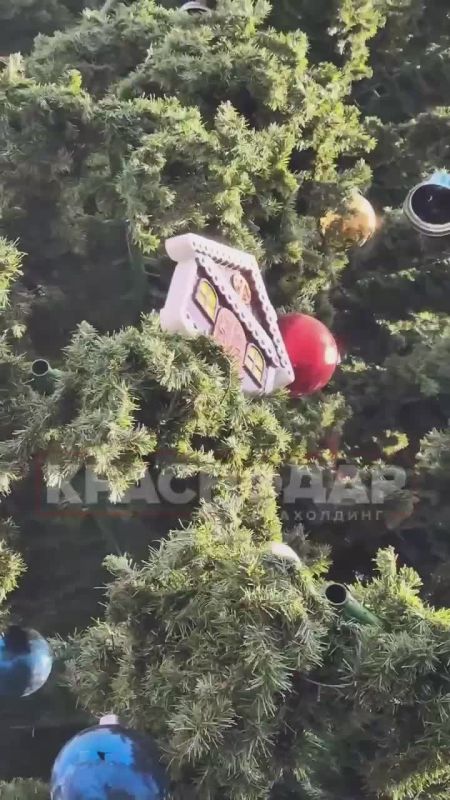 Продолжают украшать Главную городскую площадь Краснодара к Новому году