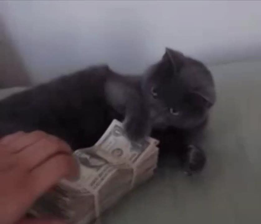 ���������� ������ ����� ���� �������