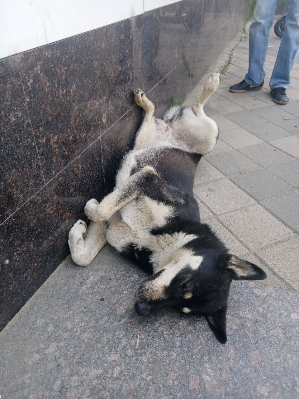 Доброе утро, Кубань!. Краснодар +7 °С Доброе утро, Кубань!. Краснодар +7 °С