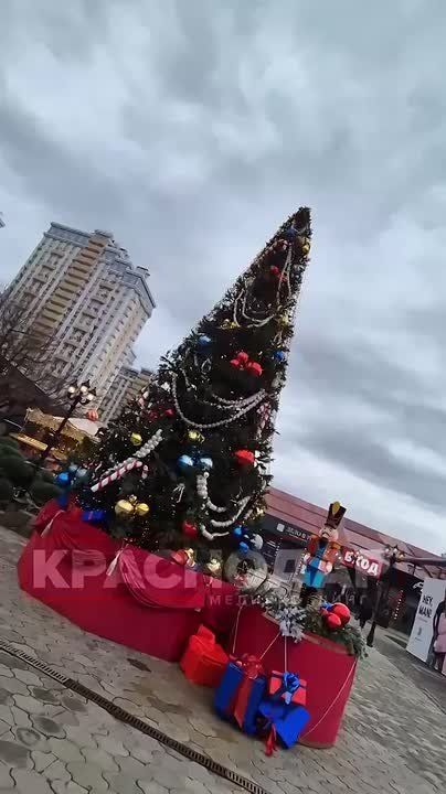 Ёлки в городе радуют глаз и создают новогоднее настроение