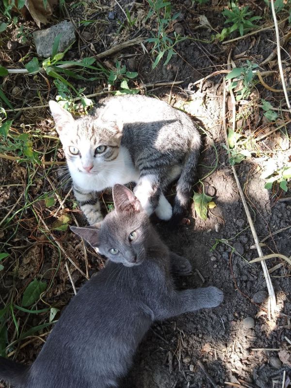 ������ ����, ������!. ��������� +7 ��