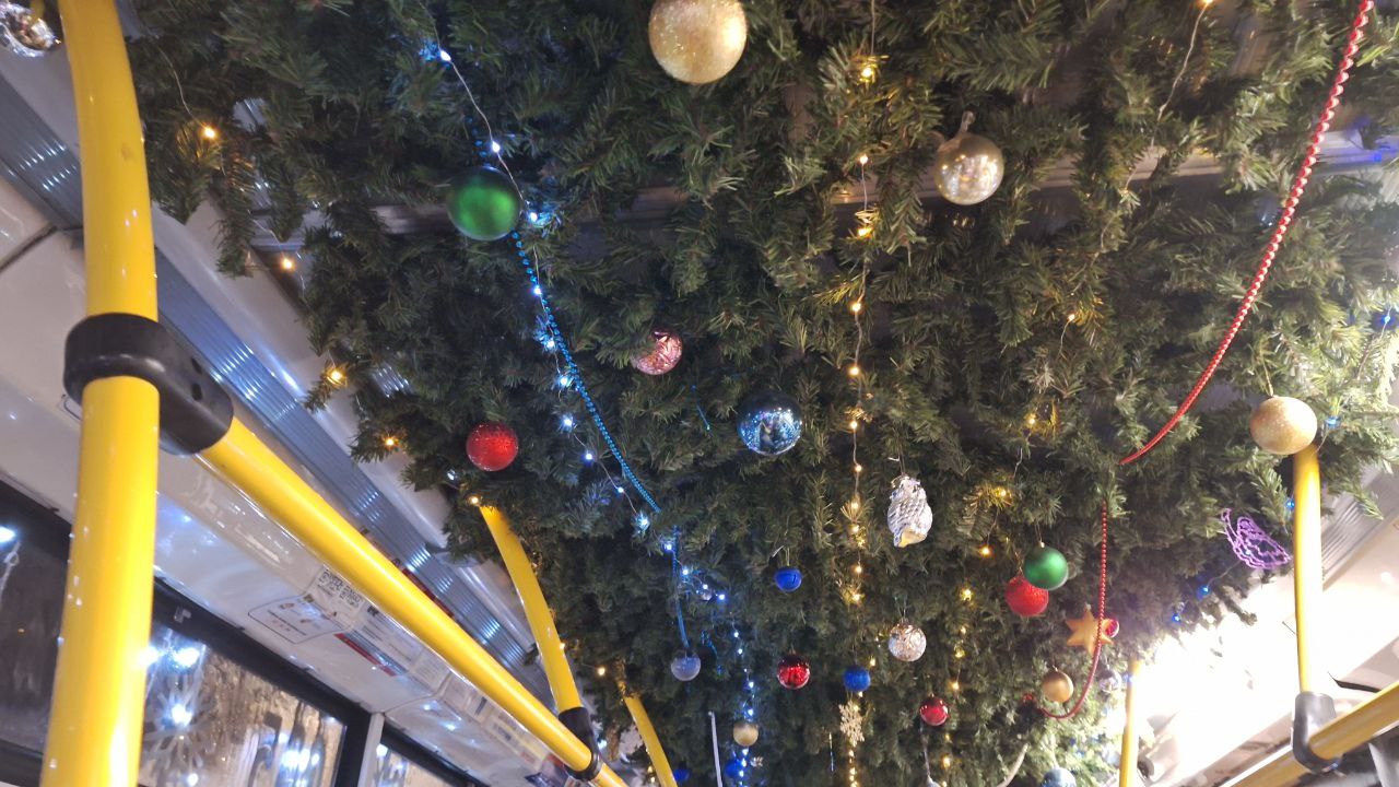 Не на оленях, но с огнями. Новогодний транспорт в полном составе выйдет на маршруты в Краснодаре уже завтра Не на оленях, но с огнями. Новогодний транспорт в полном составе выйдет на маршруты в Краснодаре уже завтра