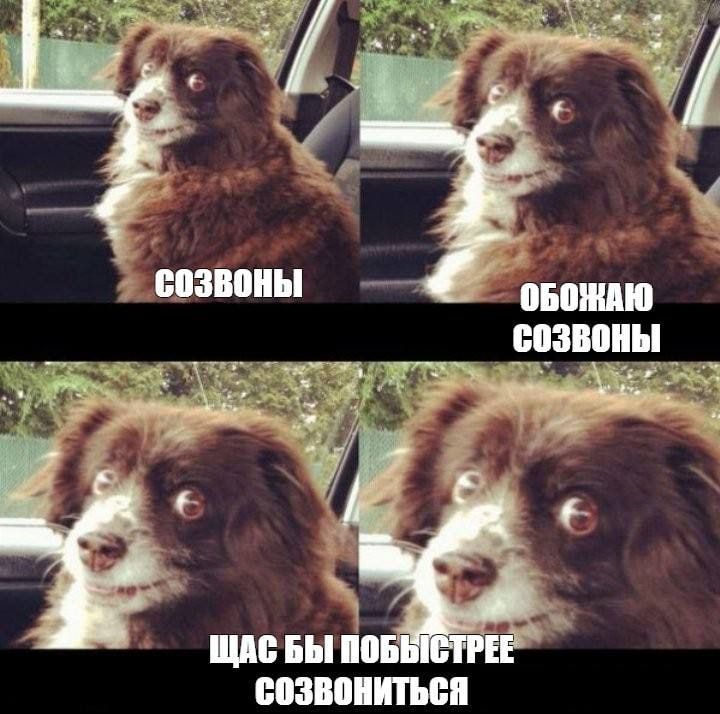 ������ ������ � ��������� ���� ����� ���������� ������� ������