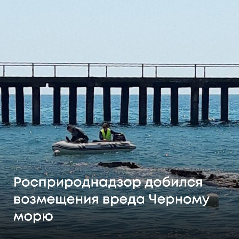Черноморо-Азовское морское управление Росприроднадзора добилось полного взыскания ущерба, причиненного Черному морю после затопления судна у берегов Туапсе
