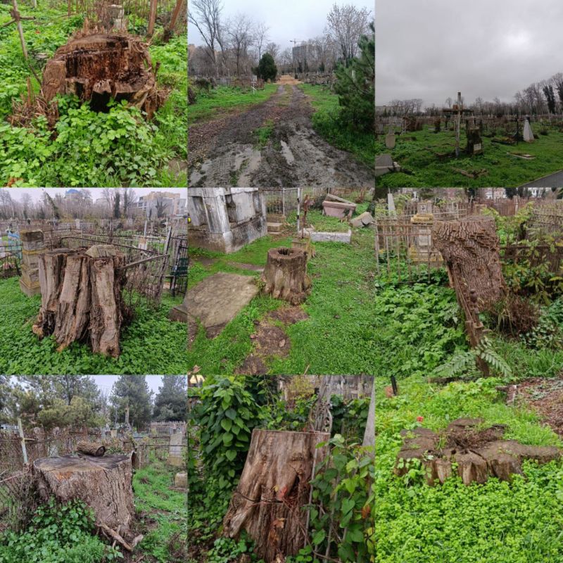 �� �����������. ����������� ����������� ���������� ������������ ��������, ���, �� �� ������, ���� ��������� ����� 95% ��������, ����� ������� � ������������ ����, ������������ ������ ����� ����������