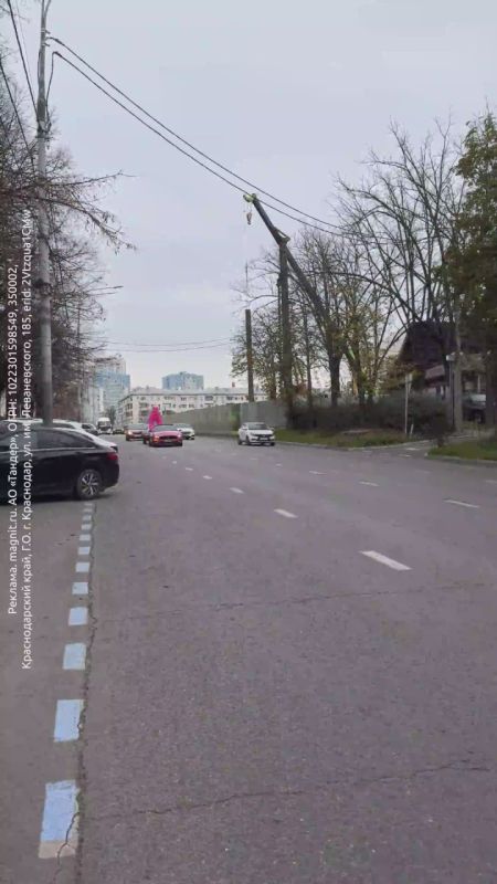 ������� ������� ���� �������� ����