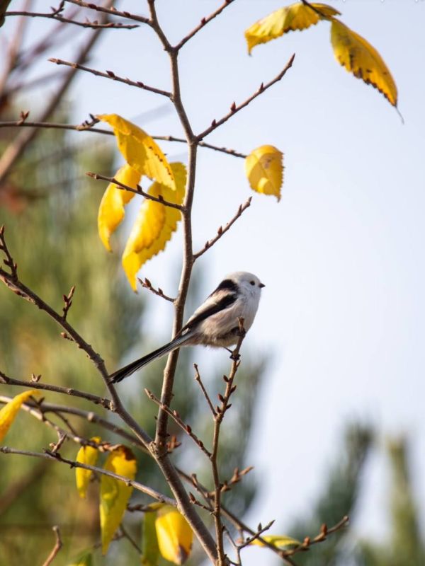 ��������������� ���� �������� � �������� ����