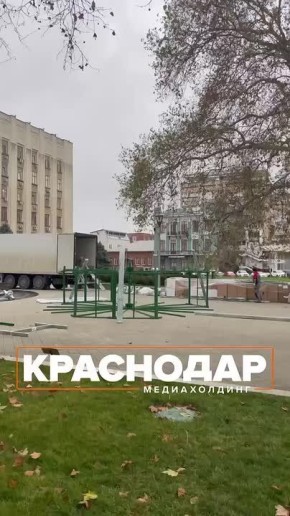 Елку начали устанавливать у администрации Краснодарского края