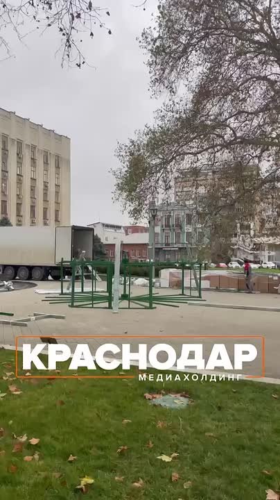 Елку начали устанавливать у администрации Краснодарского края