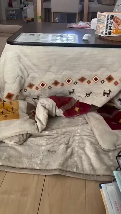 ������! ��� �������? ���? �� ����� � �����