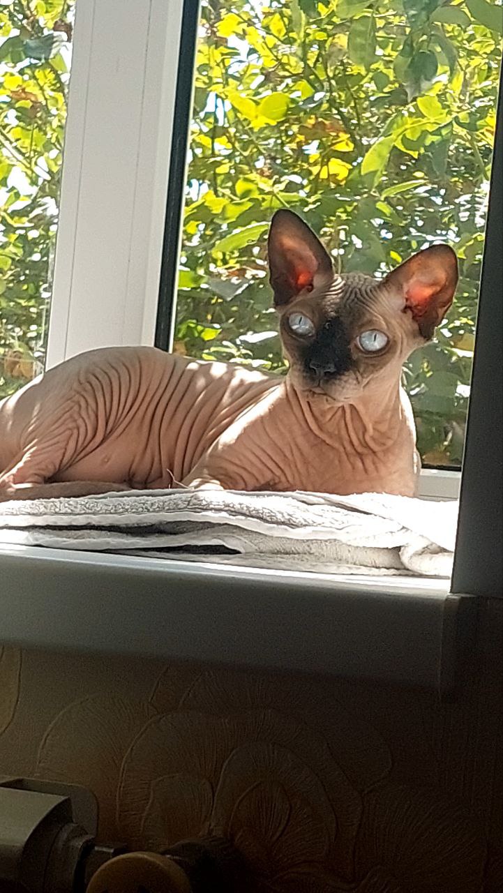 Доброе утро, Кубань!. Краснодар +7 °С Доброе утро, Кубань!. Краснодар +7 °С