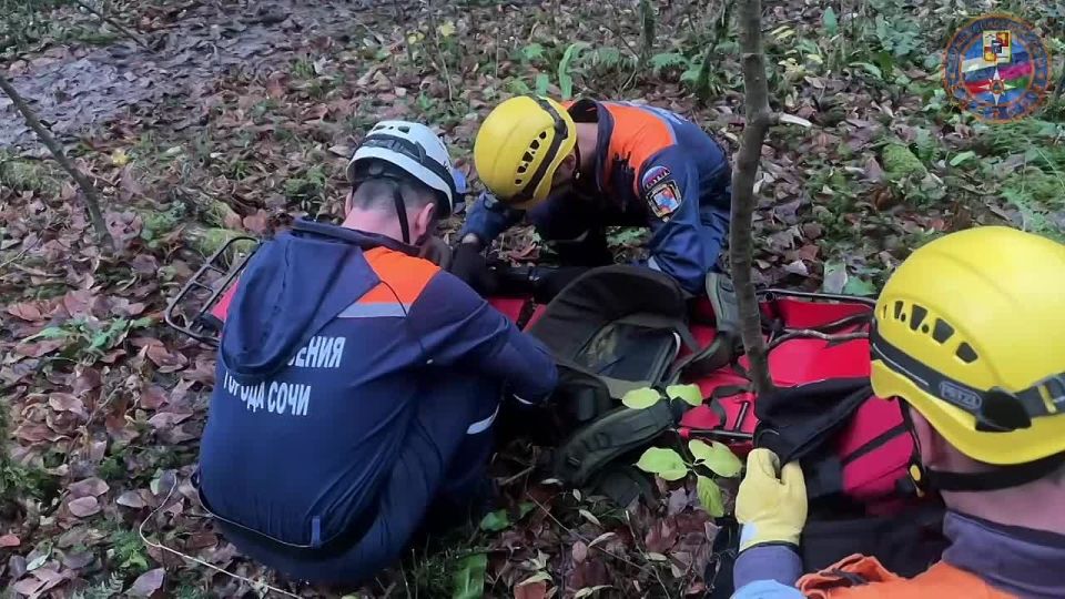 �������� ������� ��������� ���� �������� ����� �� ������� �׸����� ������ � ������� �������