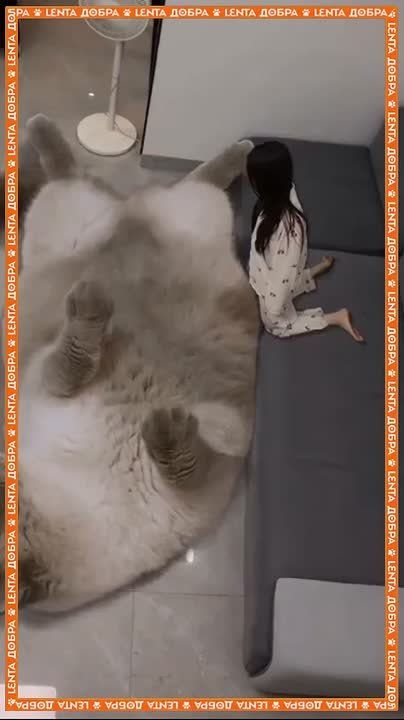 ������ ����� ���������� ����� �� �������! � ������� ���������� ����� ��������� � ����� ���� �����