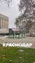 Елку начали устанавливать у администрации Краснодарского края