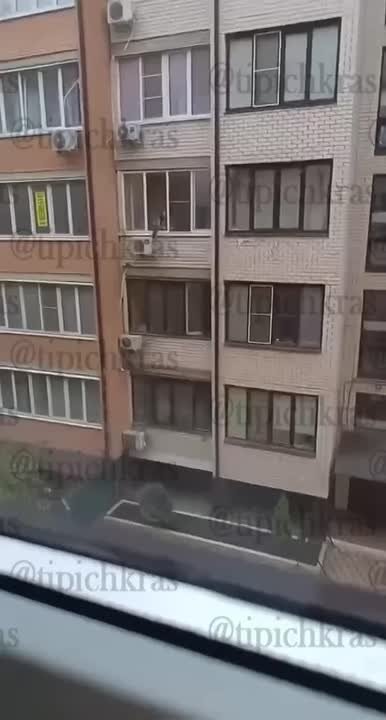 Висит, немного дергает лапами