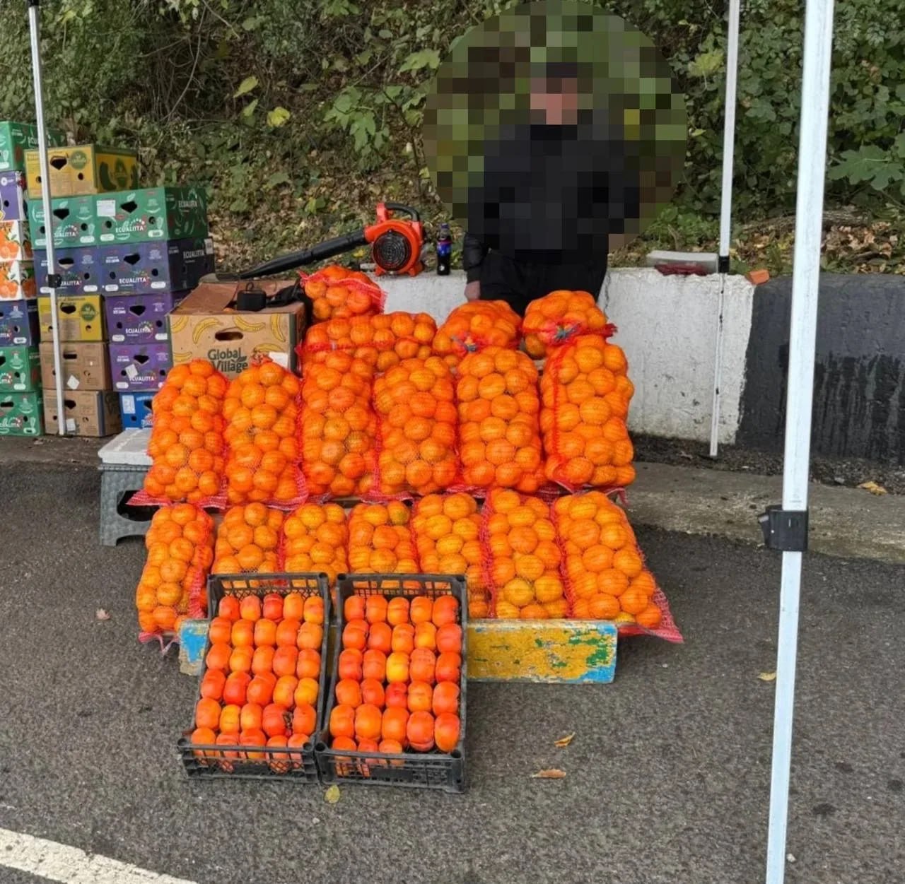 150 кг нелегальных мандаринов изъяли у уличного торговца